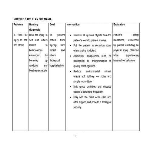 NURSING_CARE_PLAN_FOR_MANIA.docx