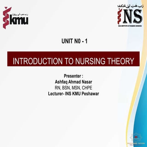 An introduction to nursing theory | PPTX