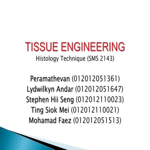 Tissue engineering (group presentation)