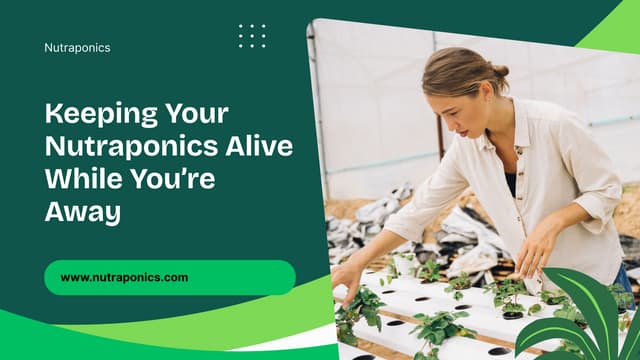 How to Ensure Continuous Growth in Your Absence | Nutraponics Reviews