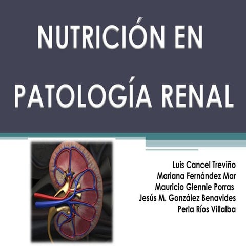 NutricióN Enfermedad Renal
