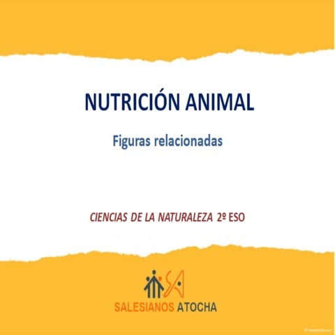Nutrición animal. figuras