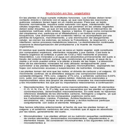 Nutrición en los  vegetales