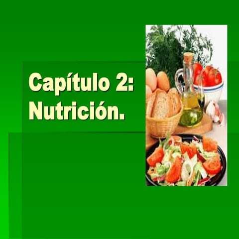 Nutricion