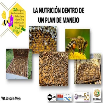 Nutrición apícola y plan de manejo