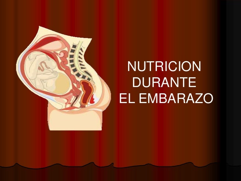 Nutrición En El Embarazo