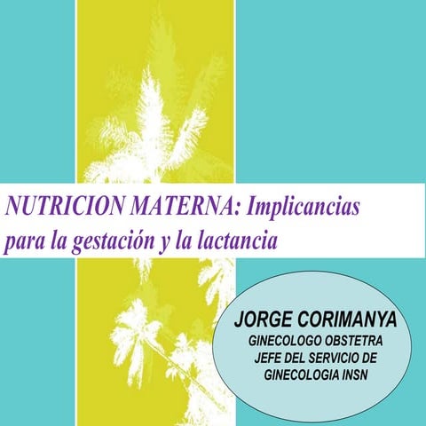 Nutricion en el embarazo y lactancia 2013 (2)