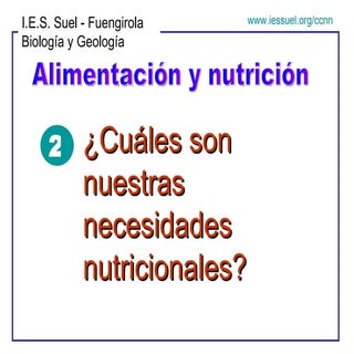 Nutricion Parte 2