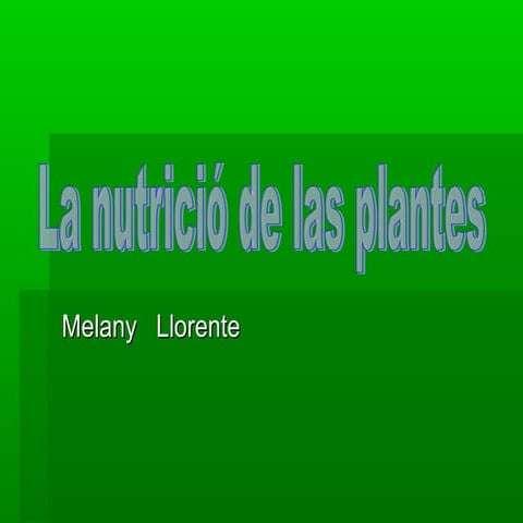 Nutricio plantes melany