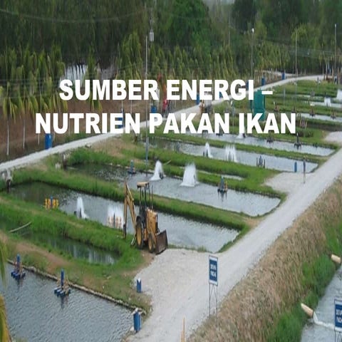 BDPP_Pertemuan 7 Nutrien dan Pakan Ikan