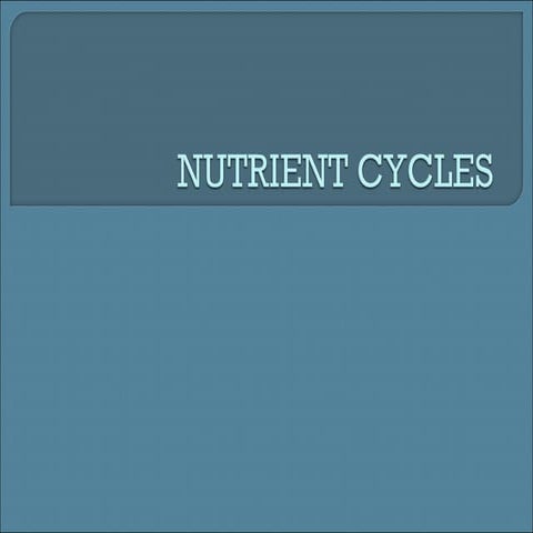 Nutrient cycles