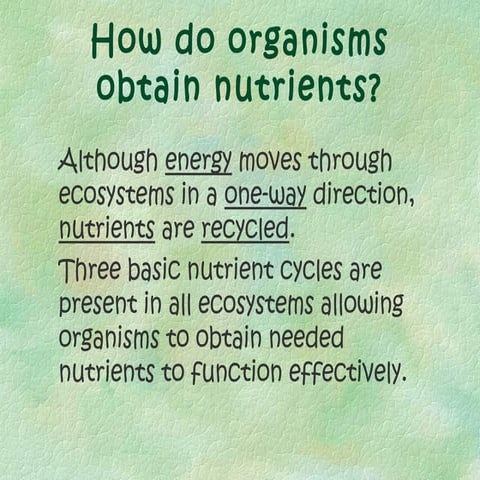 Nutrient cycles presentation