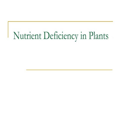 Nutrient deficiency in plants