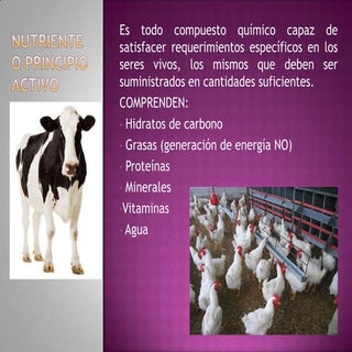 Nutriente o principio activo