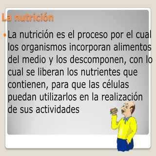 Nutrientes