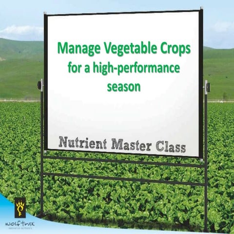 Vegetables | PPTX