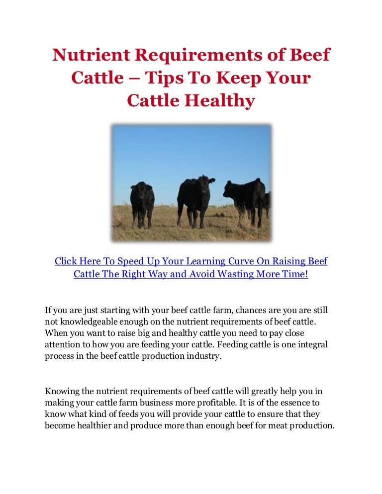Nutrient Requirements of Beef Cattle Tips To Keep Your Cattle Healt…