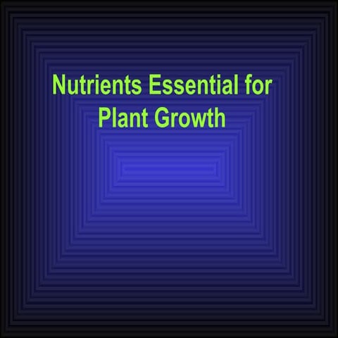 Nutrients   review