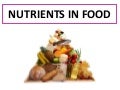 The Six Essential Nutrients: Lesson Plan And Worksheet