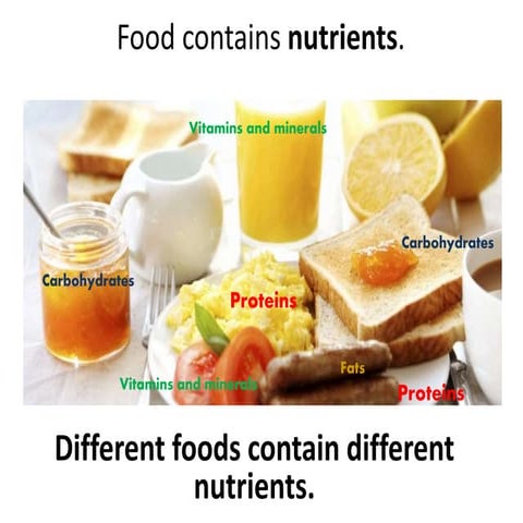 Nutrients in food alejandro