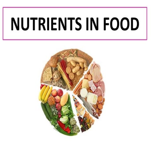 Nutrients in food y3