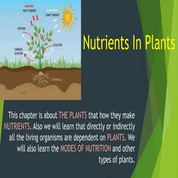 Nutrients in plants 