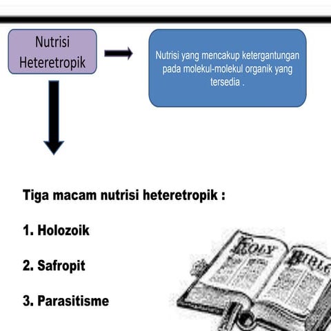 Nutrisi heteretropik
