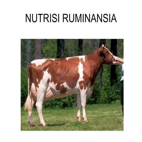 Comprehensive Overview of Ruminant Nutrition and Rumen Development | PPT
