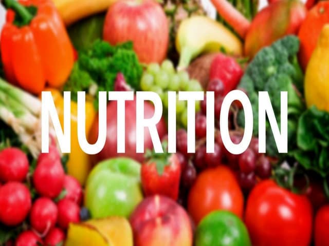 The ONE Diet What You Need To Know About Food Health Nutrition And 
