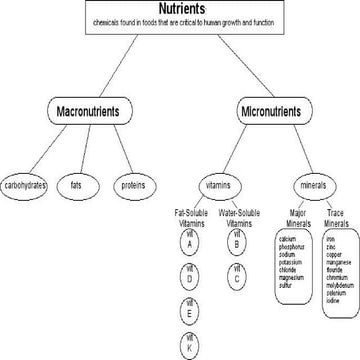Need help? → Essential Wiki visual data 6