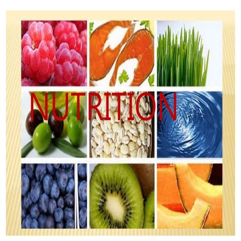 nutrition.pptx7777777777777777777777777777777777777777777