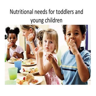 Nutritional Needs for Toddlers and ...