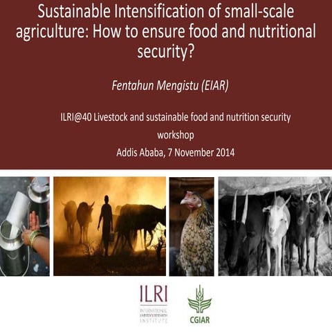 Sustainable intensification of small-scale agriculture: How to ensure ...
