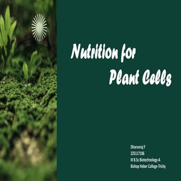 Essential Nutrition For Plant cells.pptx
