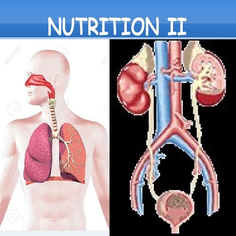  Nutrition ii janeth y chema
