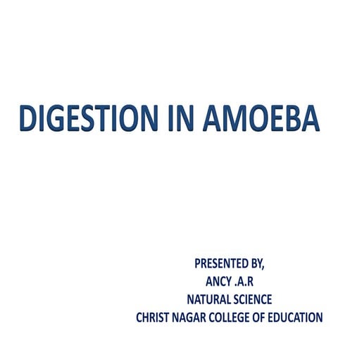 Nutrition in amoeba