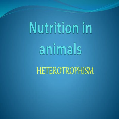 Nutrition in animals by Ratep Ken