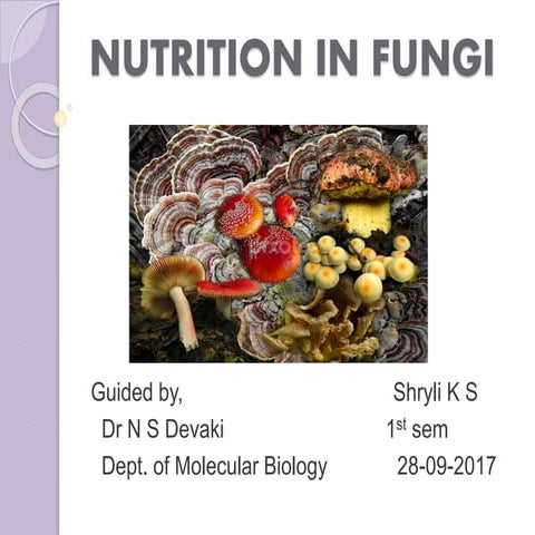 Nutrition in Fungi