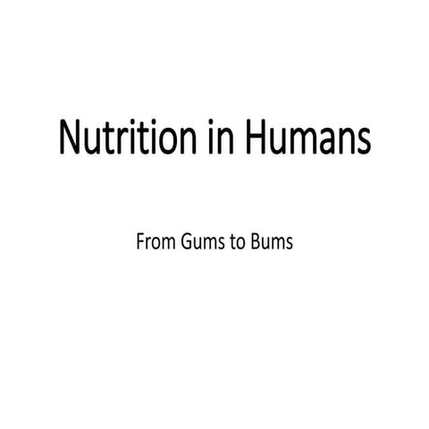 Nutrition in humans