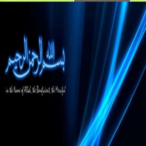 Nutrition in immune system interaction