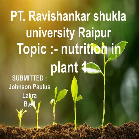 Nutrition in plant