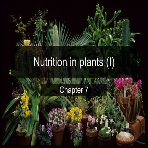 Nutrition in plants