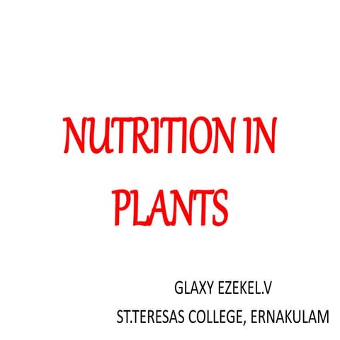 Nutrition in plants