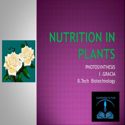 Nutrition in plants- Photosynthesis