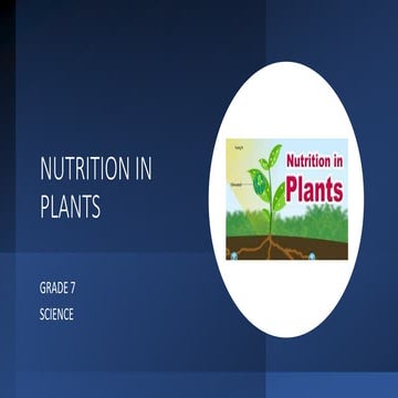 Nutrition in plants