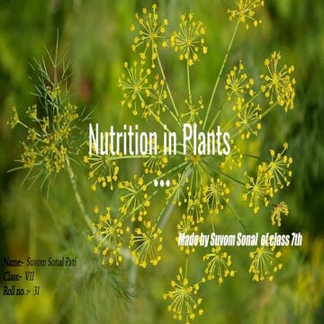 Nutrition in Plants - Class-7 Project Work
