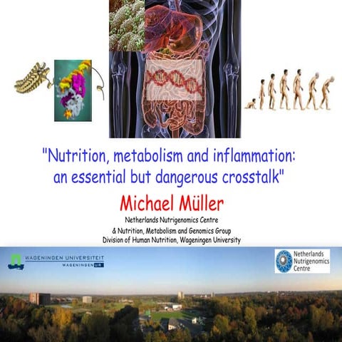 Nutrition metabolism and inflammation an essential but dangerous crosstalk