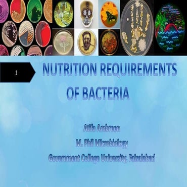 Nutrition Requirement of Bacteria