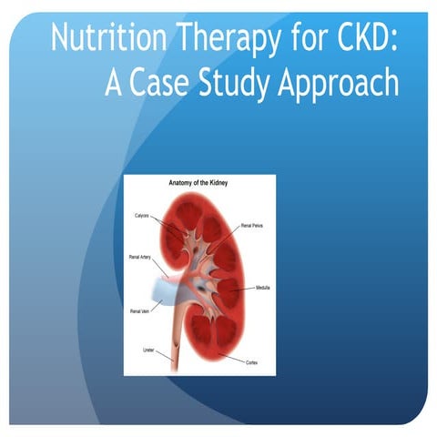 Nutrition Therapy For CKD: A Case Study Approach