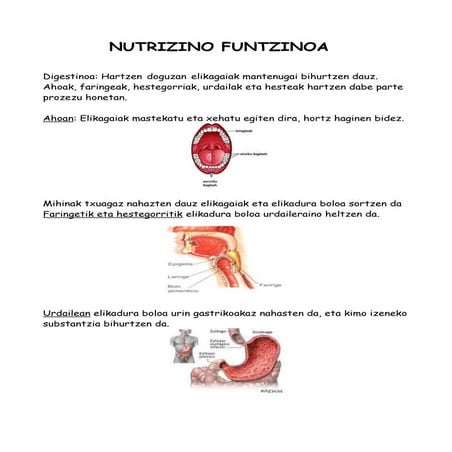 Nutrizinoa nahia